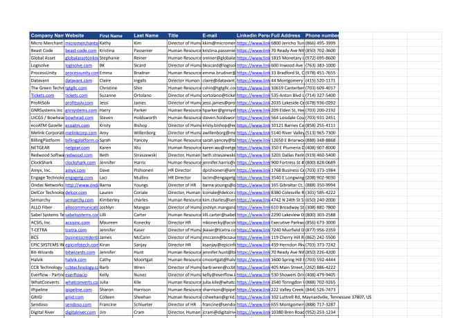 do data entry, web research and convert pdf to excel